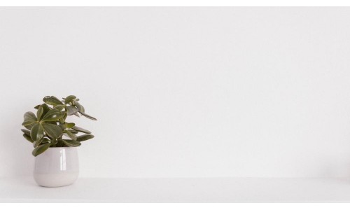 Does Your Business Need an ERP
